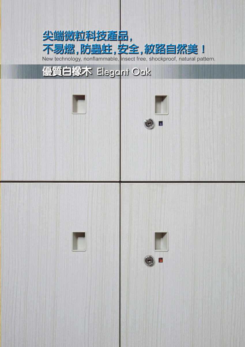 WG鋼製木紋系統櫥櫃-25
