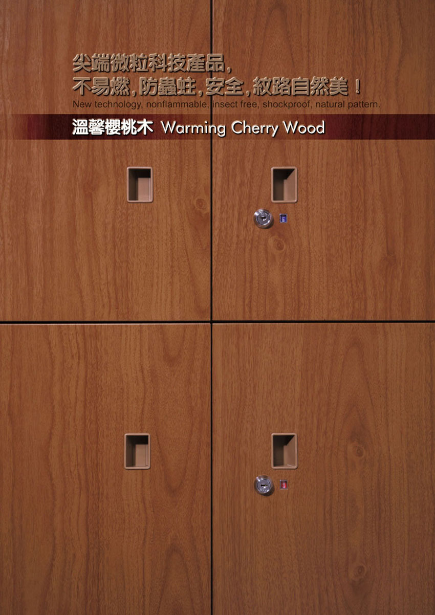 WG鋼製木紋系統櫥櫃-26
